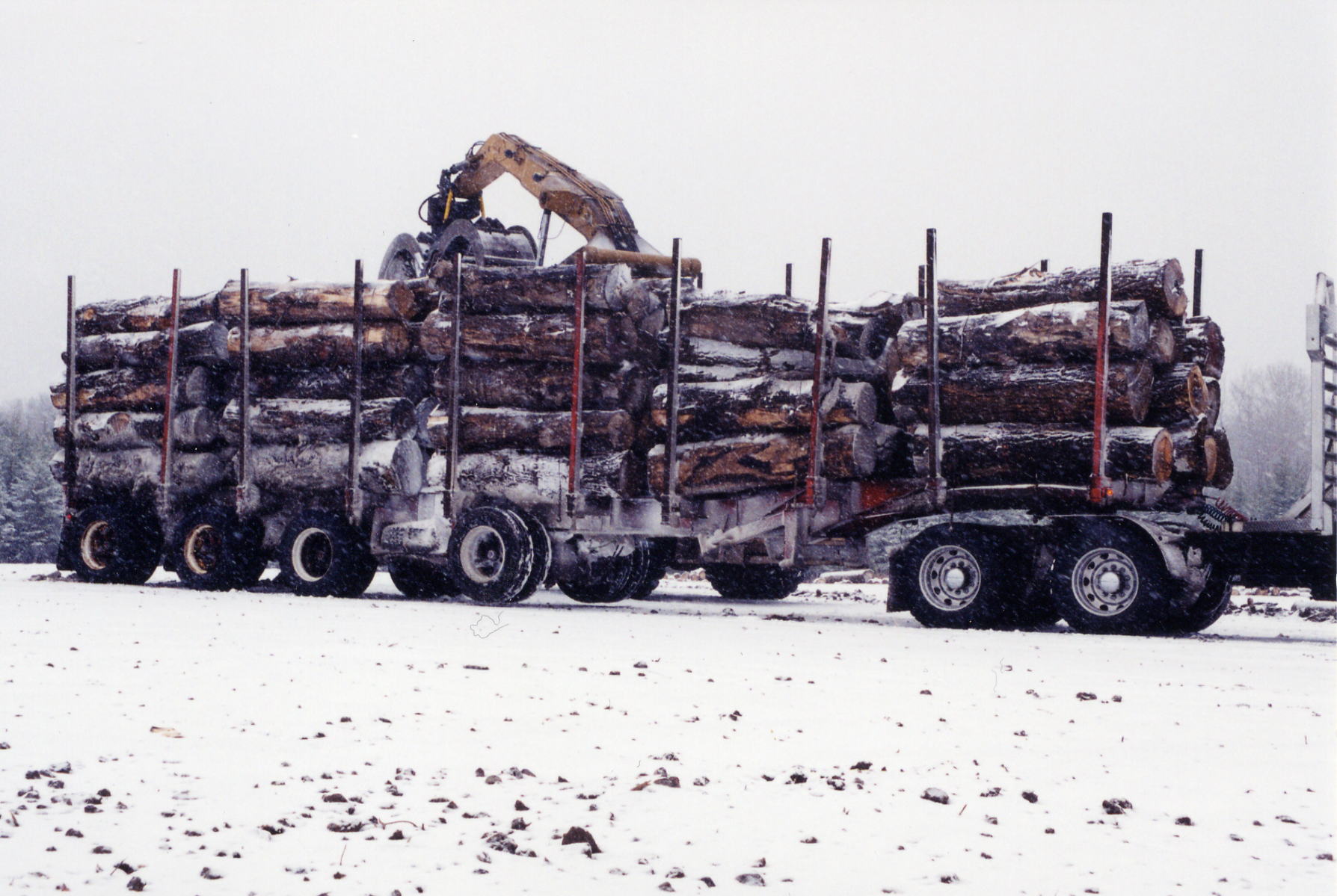 Log Truck 3
